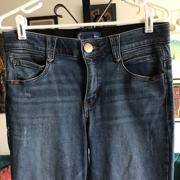 DEMOCRACY size 10 Stretch Denim "Ab" Solution Skinny Ankle Jeans - Picture 2 of 4